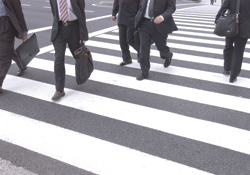 2008 Public CIO Survey
